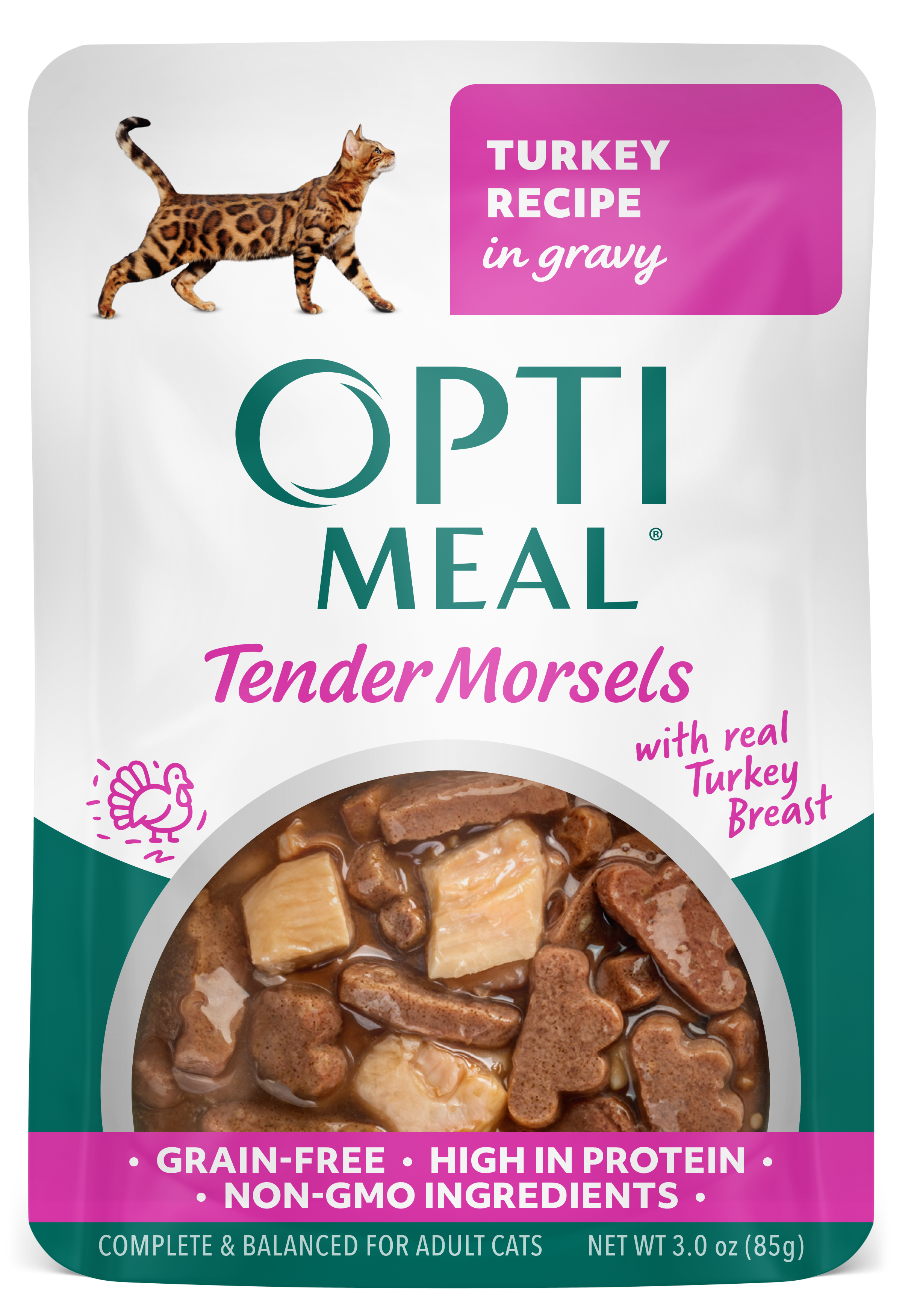 Turkey In Gravy