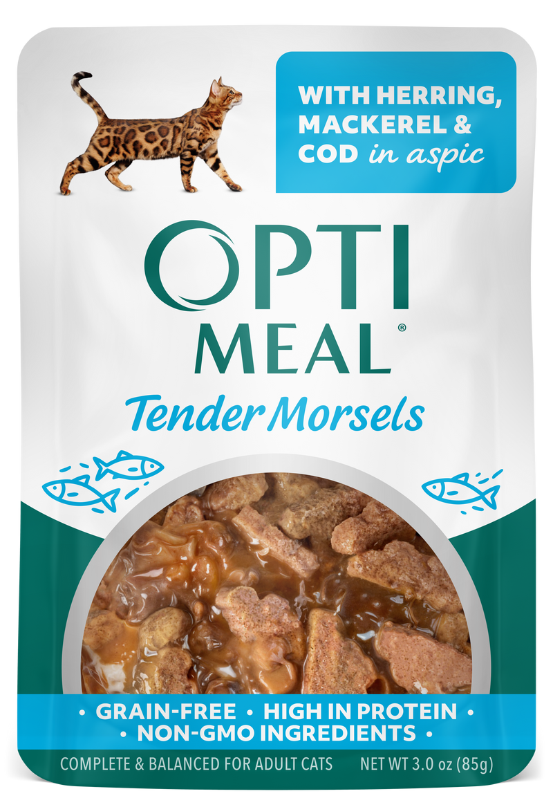 Herring, Mackerel & Cod in Aspic - Image 1