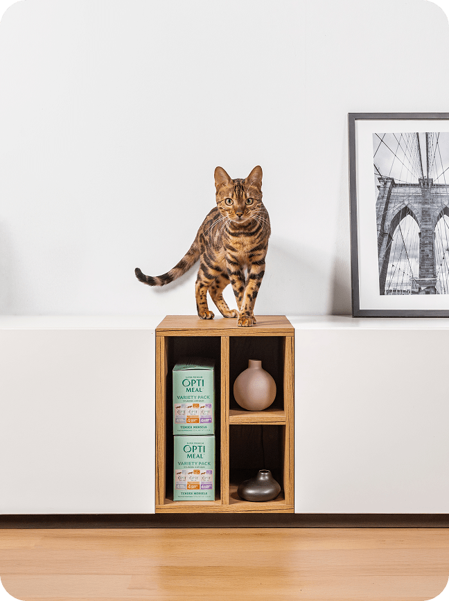 Optimeal® Grain Free Variety Pack Tender Morsels for Adult Cats