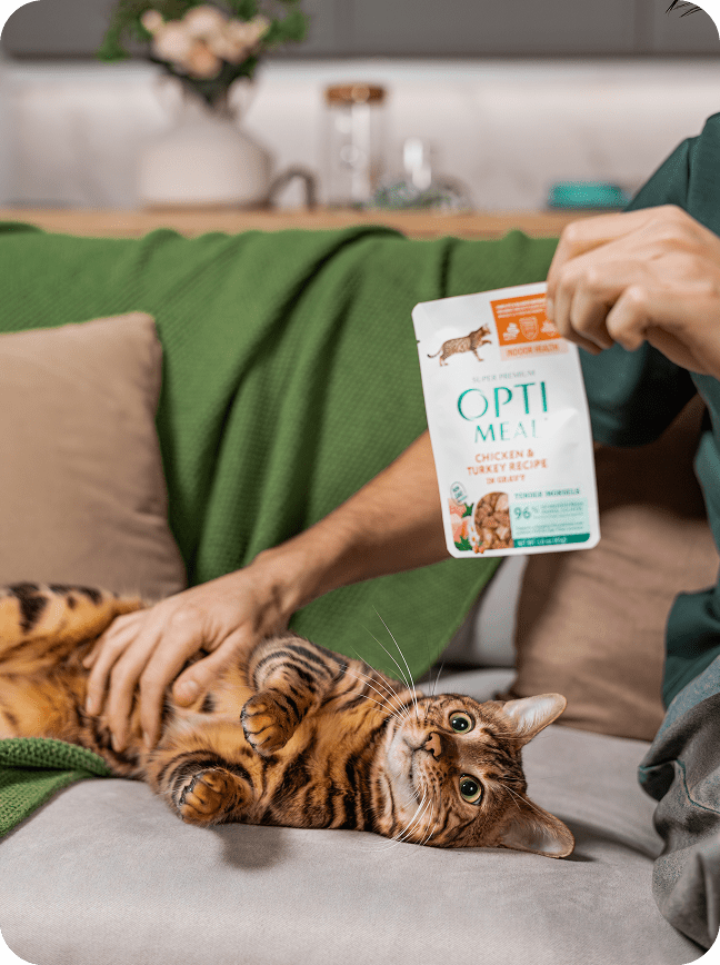 Optimeal® Indoor Health Chicken & Turkey Recipe Grain Free Tender Morsels In Gravy Adult Cat