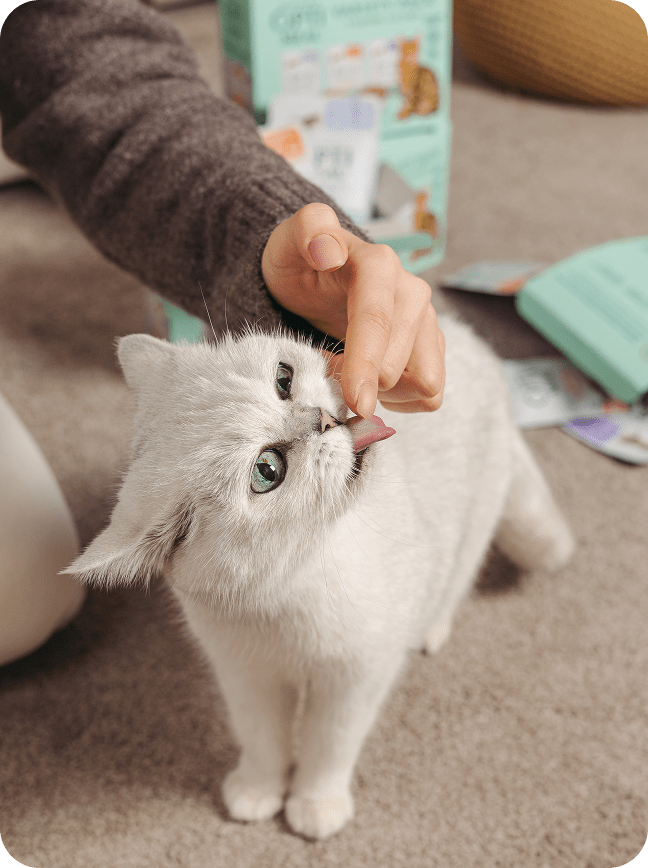 Optimeal® Digestive Support With Beef & Rabbit Grain Free Tender Morsels In Savory Sauce Adult Cat Food