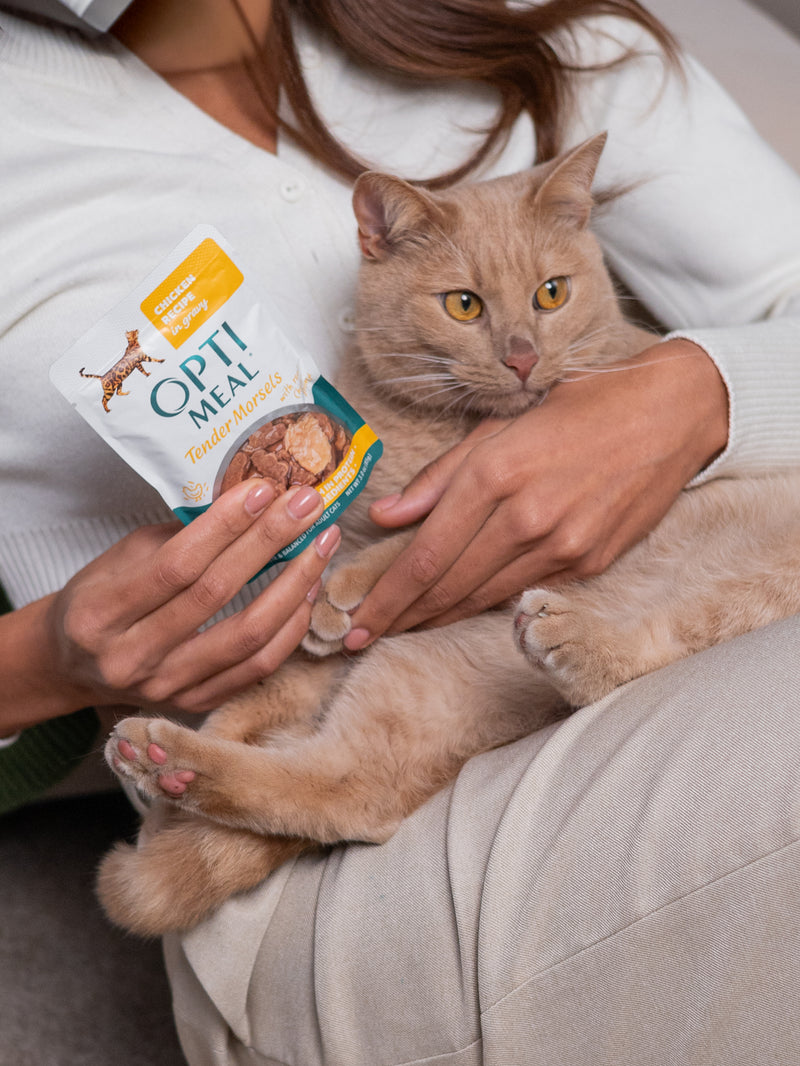 (24) OPTIMEAL® Grain Free Tender Morsels Chicken Recipe with Real Chicken Breast in Gravy Adult Cat Food - Image 2
