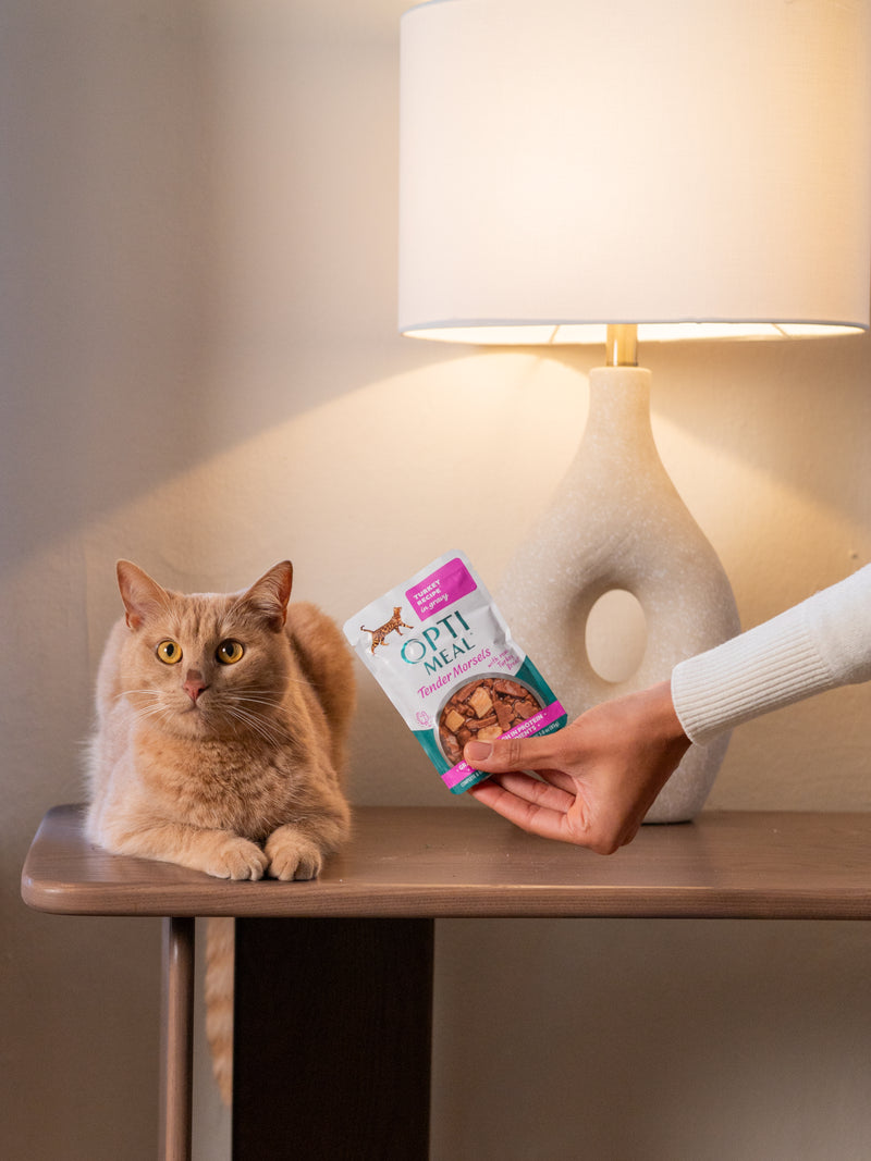 (24)'OPTIMEAL® Grain Free Tender Morsels Turkey Recipe with Real Turkey Breast In Gravy Adult Cat Food - Image 2