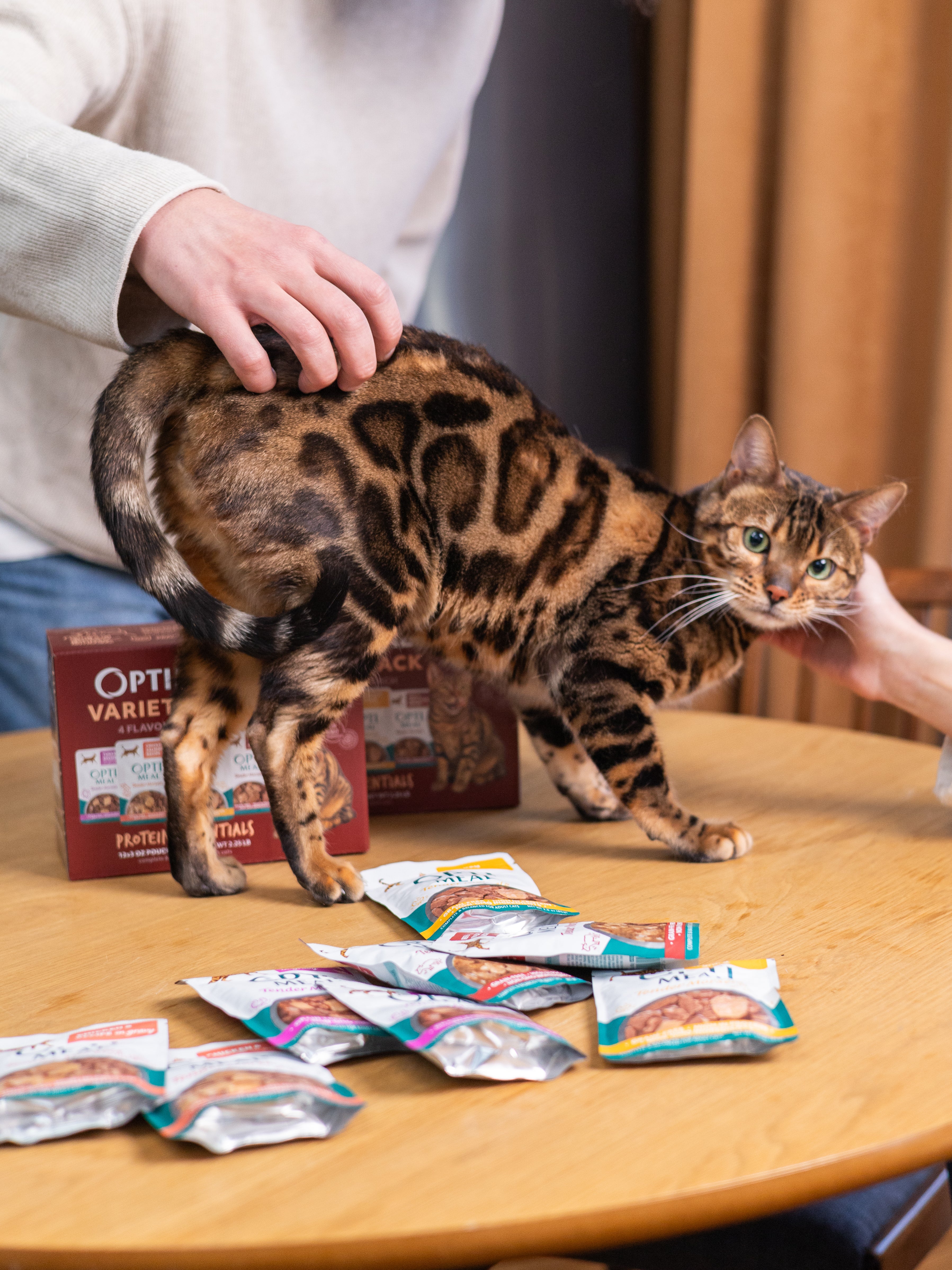 (24) Protein Essential Variety Pack - Chicken, Turkey & Beef  Wet Cat Food