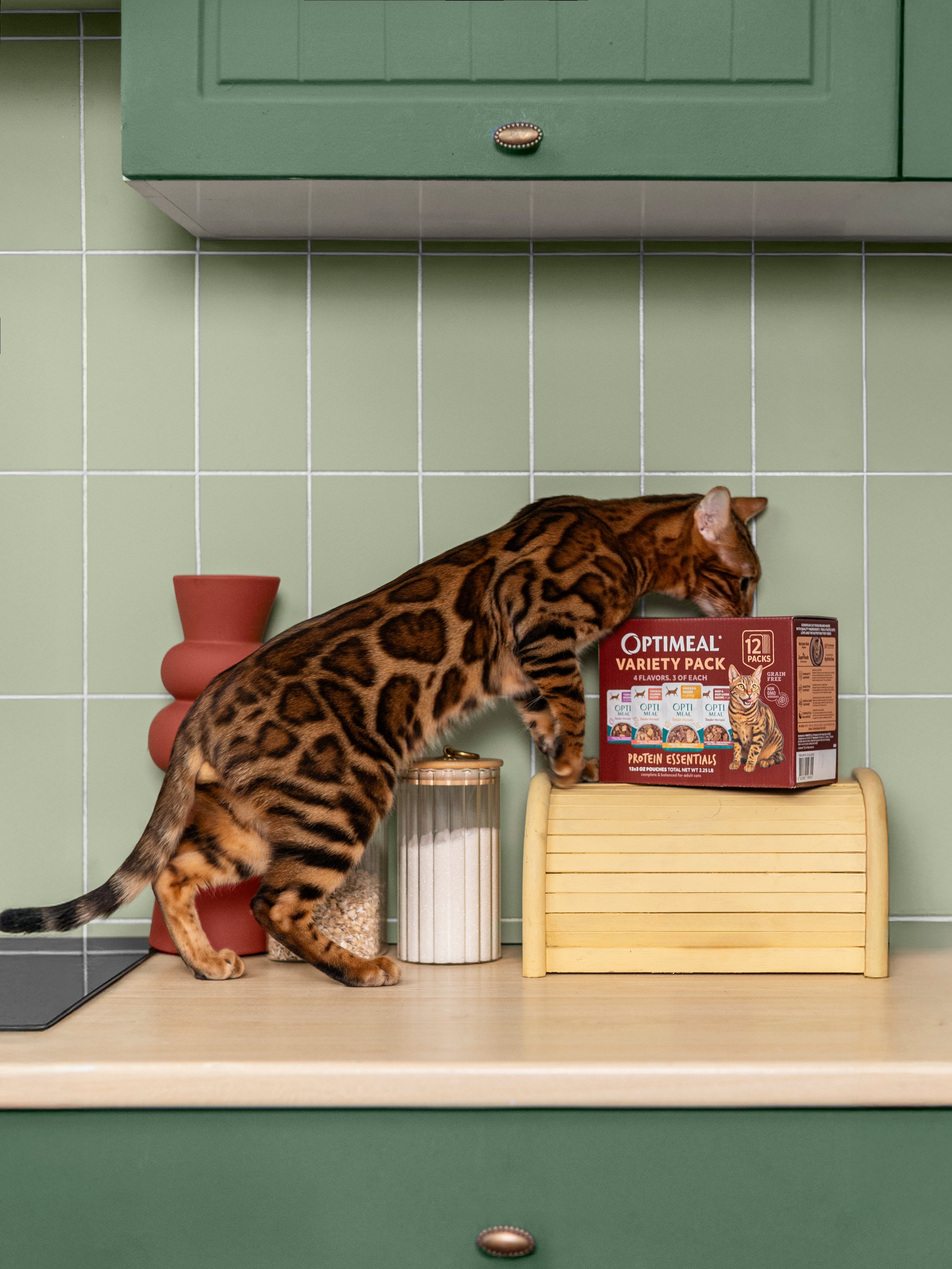 (24) Protein Essential Variety Pack - Chicken, Turkey & Beef  Wet Cat Food