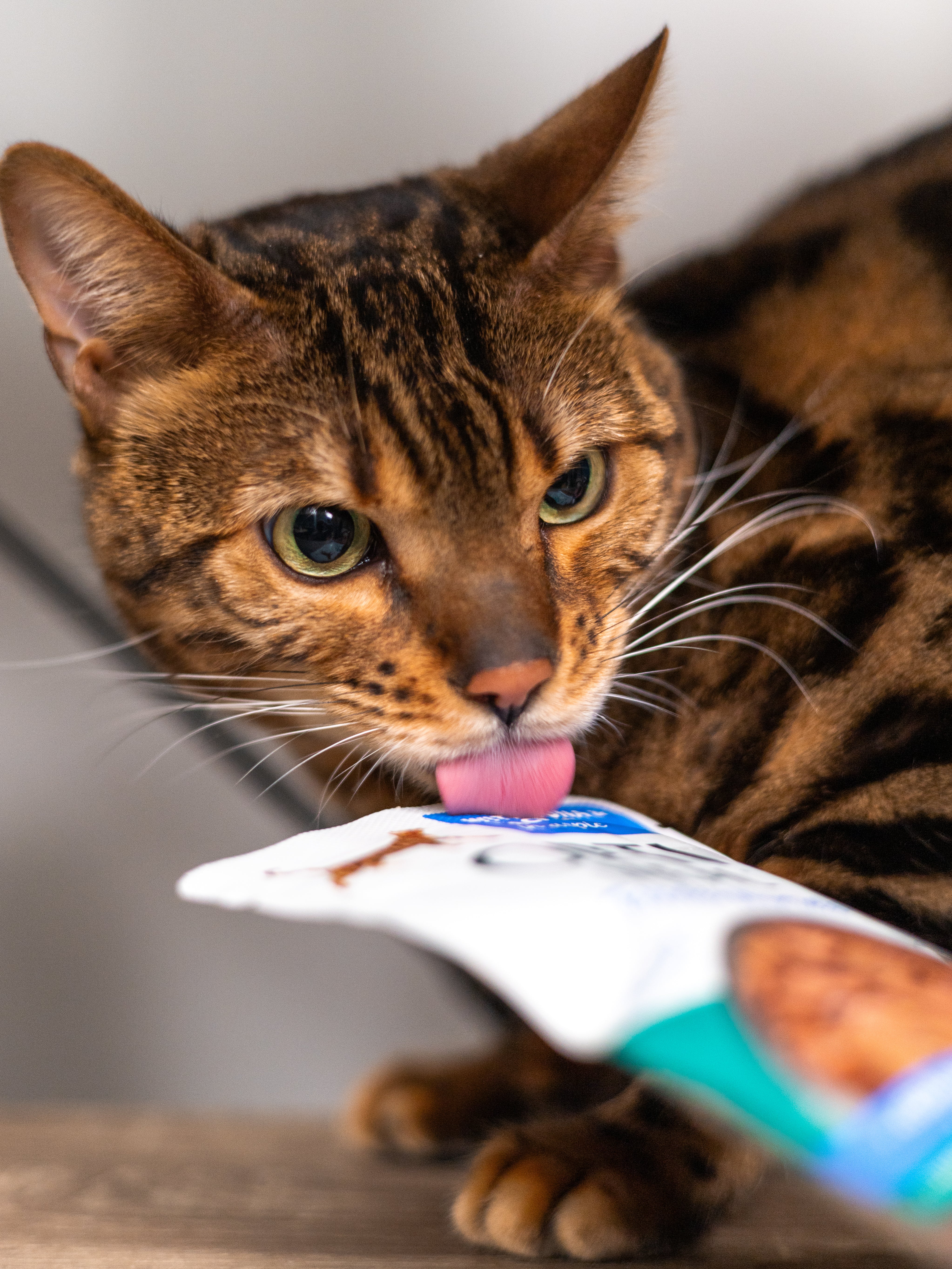 (24) OPTIMEAL® Grain Free Tender Morsels with Tuna & Mackerel in Aspic Adult Cat Food