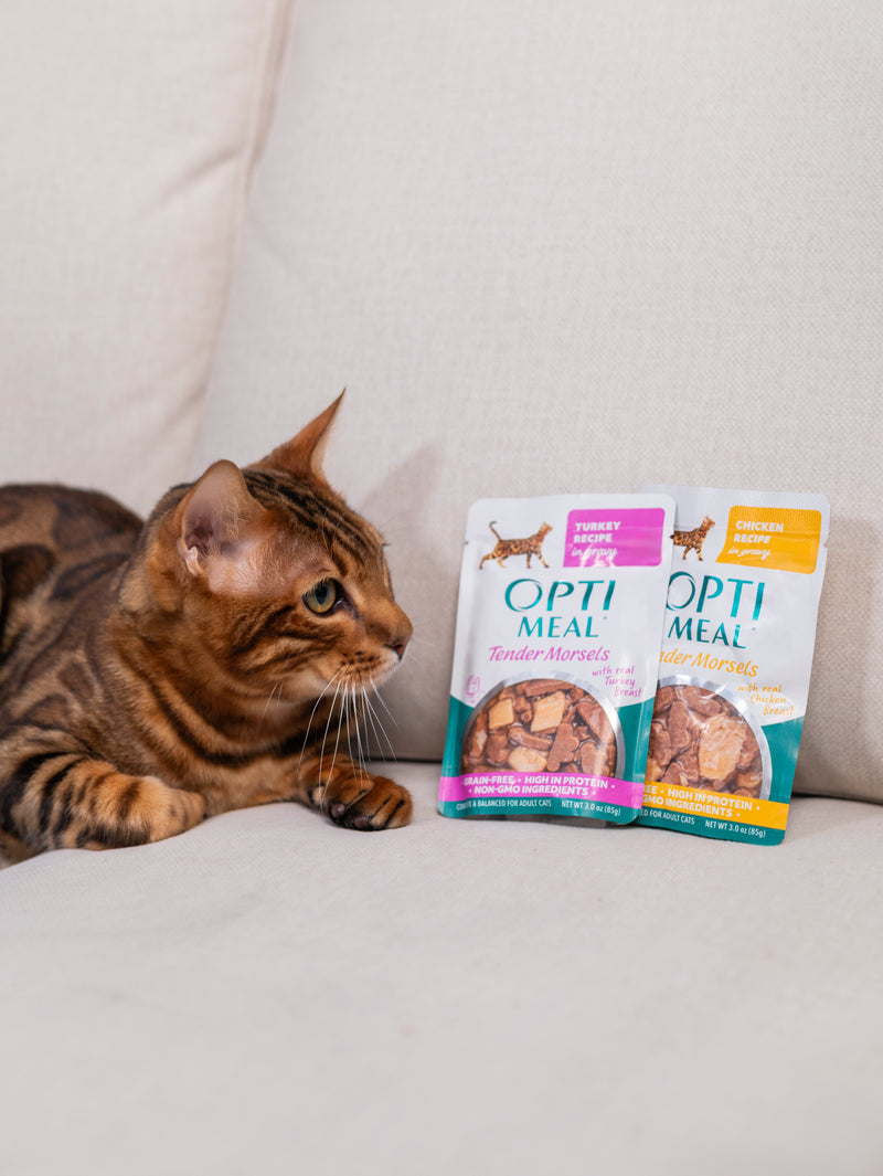 (24)'OPTIMEAL® Grain Free Tender Morsels Turkey Recipe with Real Turkey Breast In Gravy Adult Cat Food - Image 4