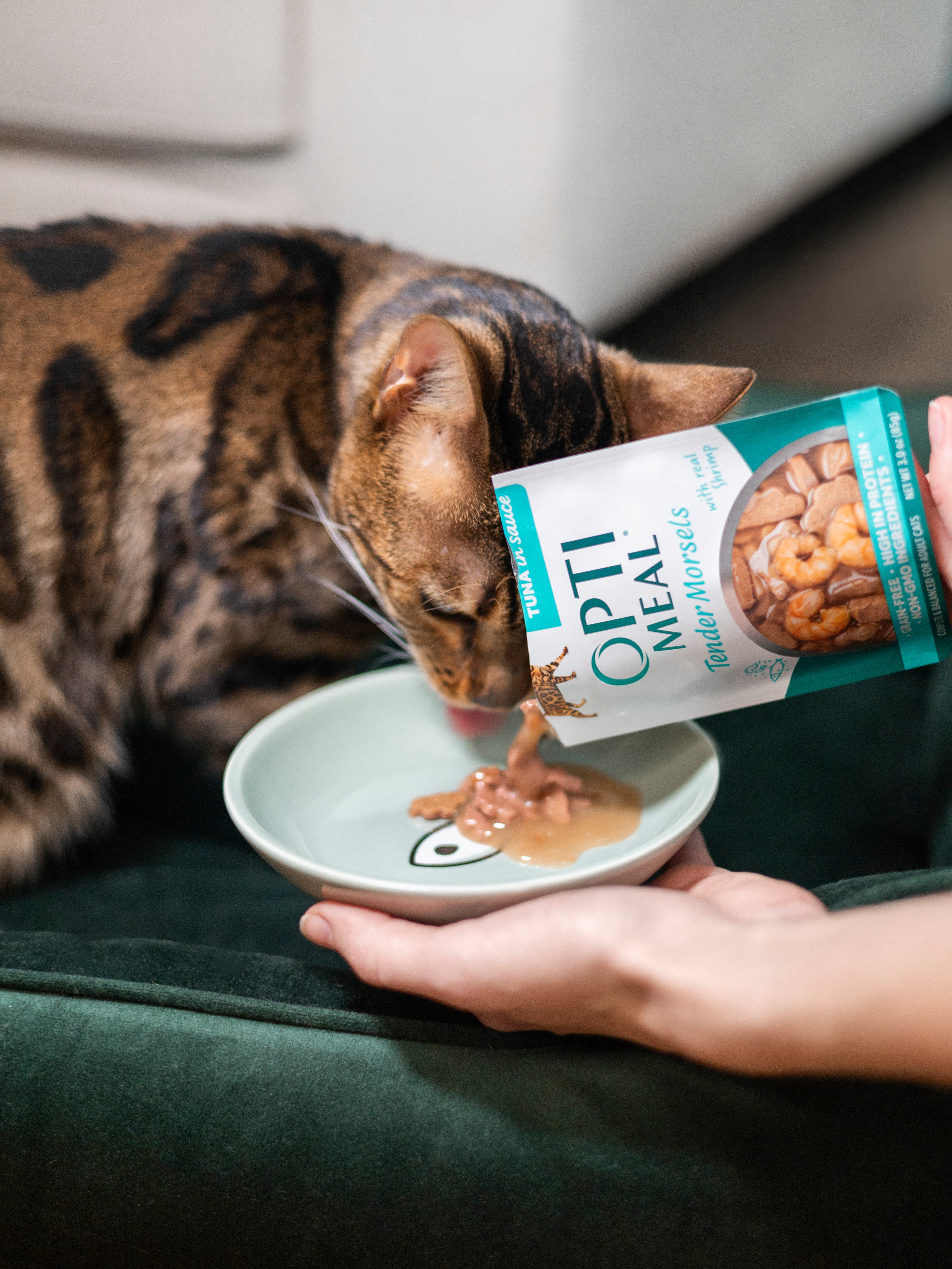 (24) OPTIMEAL® Grain Free Tender Morsels with Real Shrimp, Herring & Tuna in Sauce Adult Cat Food