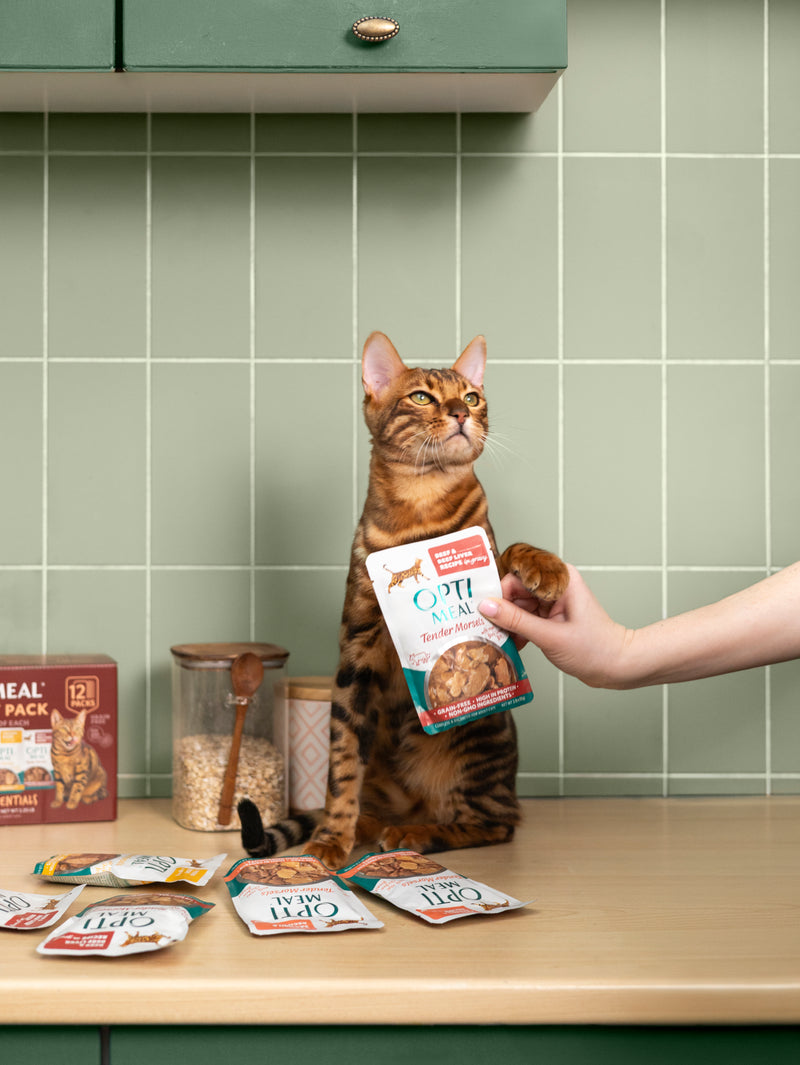 (24) Protein Essential Variety Pack - Chicken, Turkey & Beef  Wet Cat Food - Image 2