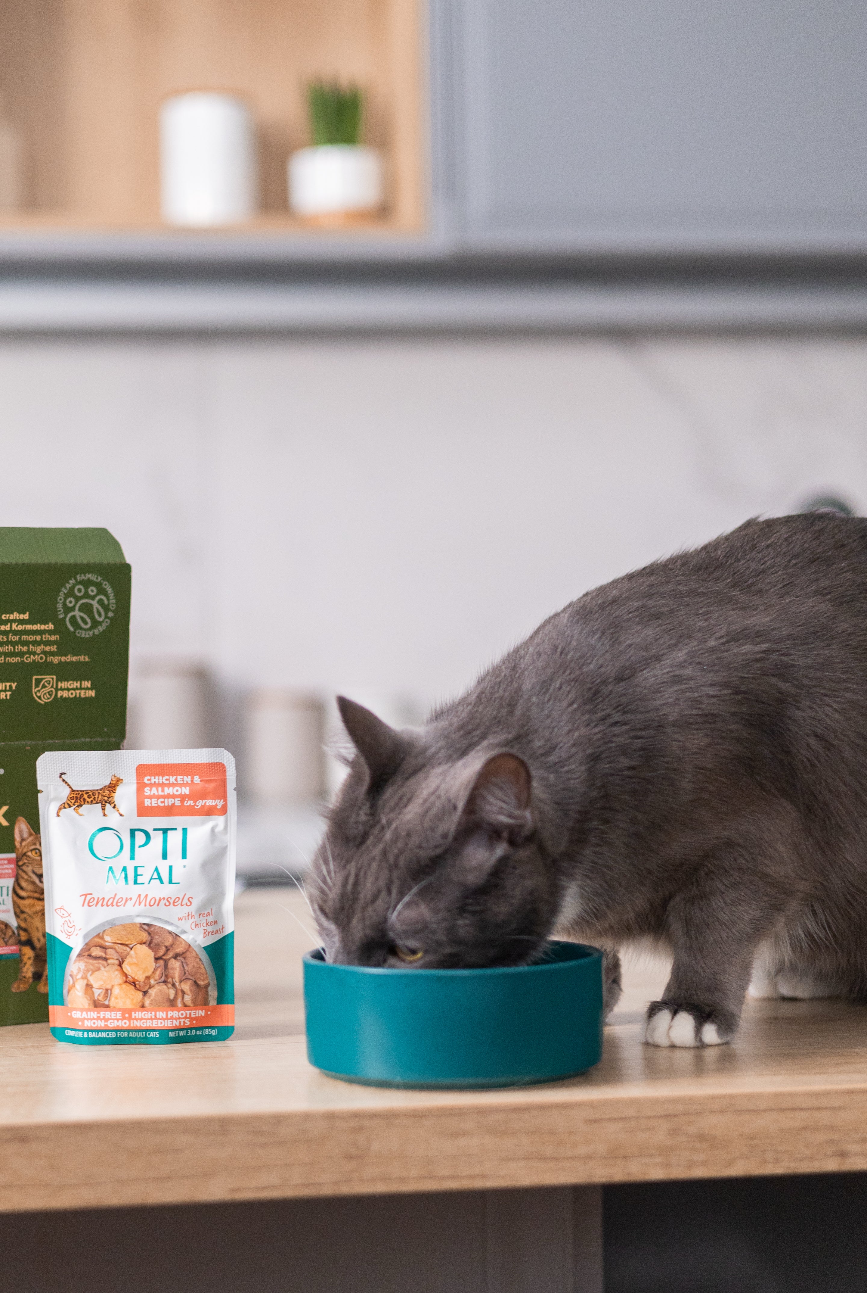 (24)OPTIMEAL® Grain Free Tender Morsels Chicken & Salmon Recipe with Real Chicken Breast in Gravy Adult Cat Food