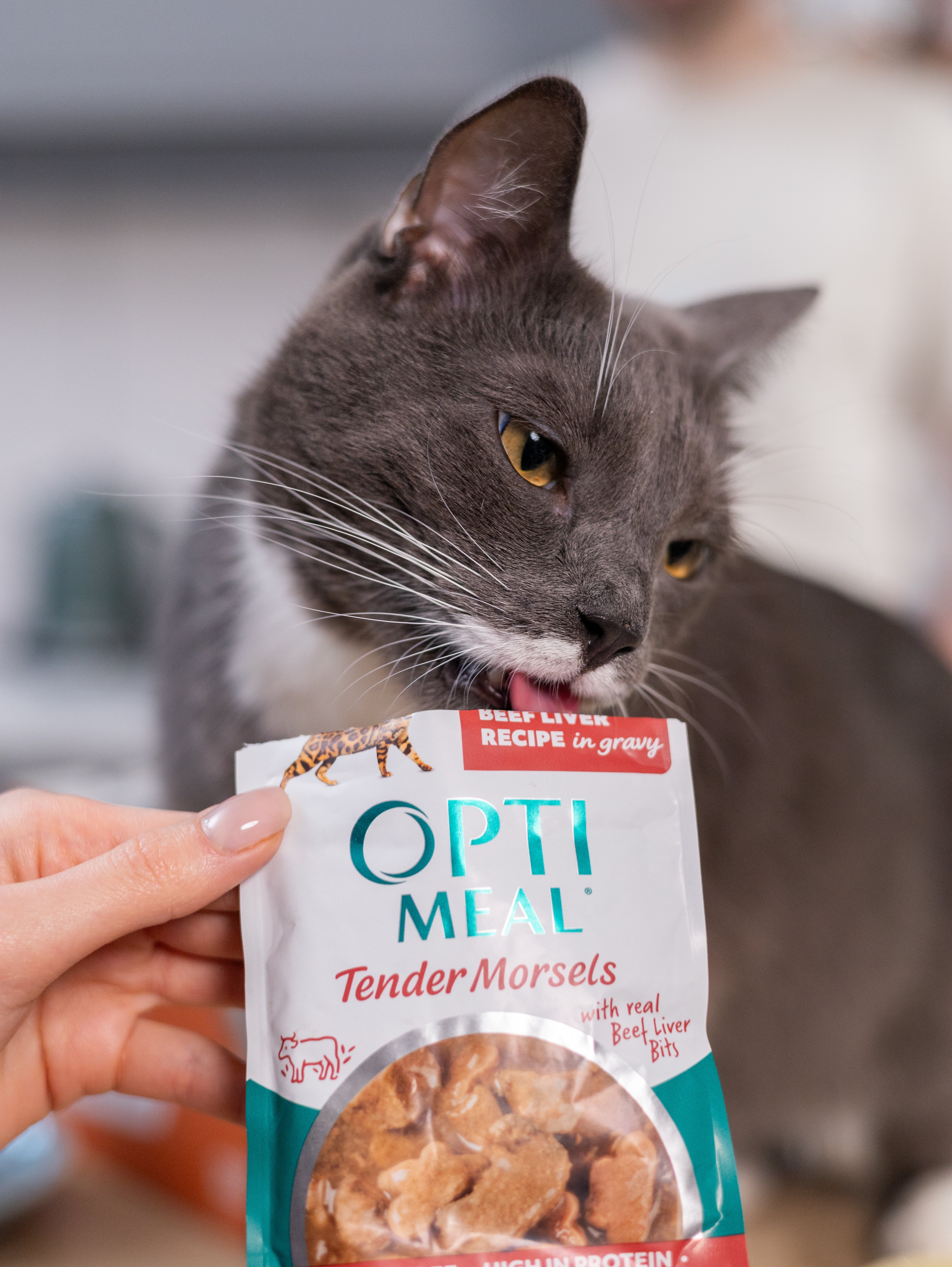 (24)OPTIMEAL® Grain Free Tender Morsels Beef and Beef Liver Recipe in Gravy Adult Cat Food