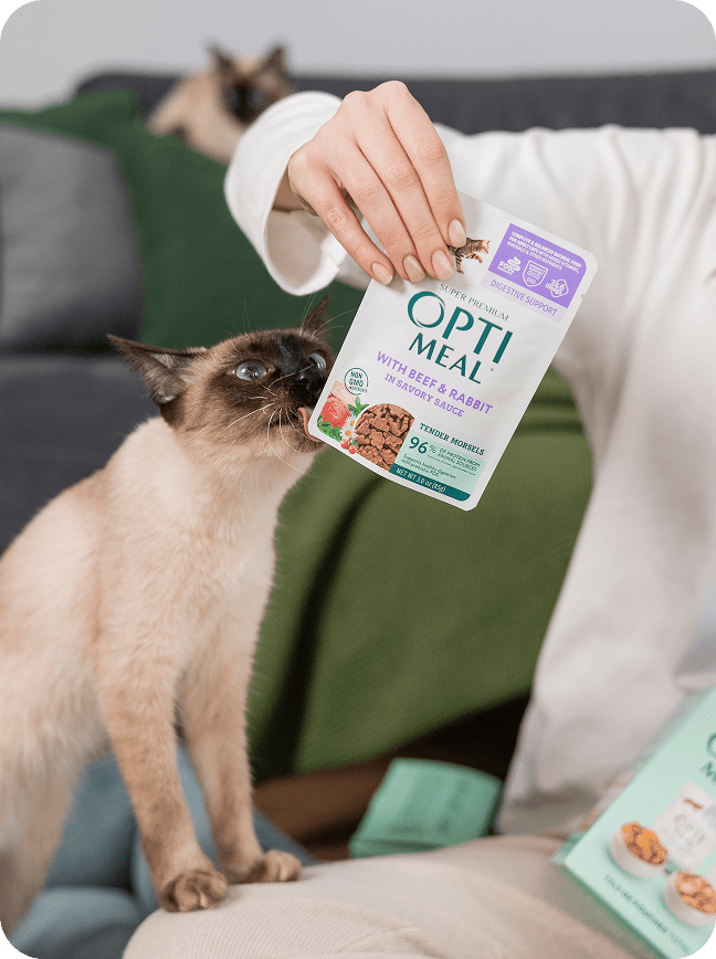 Optimeal® Digestive Support With Beef & Rabbit Grain Free Tender Morsels In Savory Sauce Adult Cat Food - Image 3